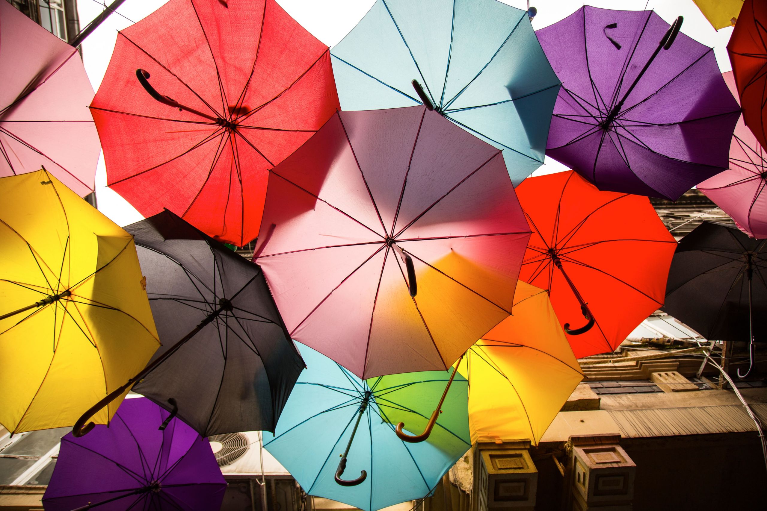 Utilize Umbrella Companies for Freelancers to handle the payroll and other administrative tasks.