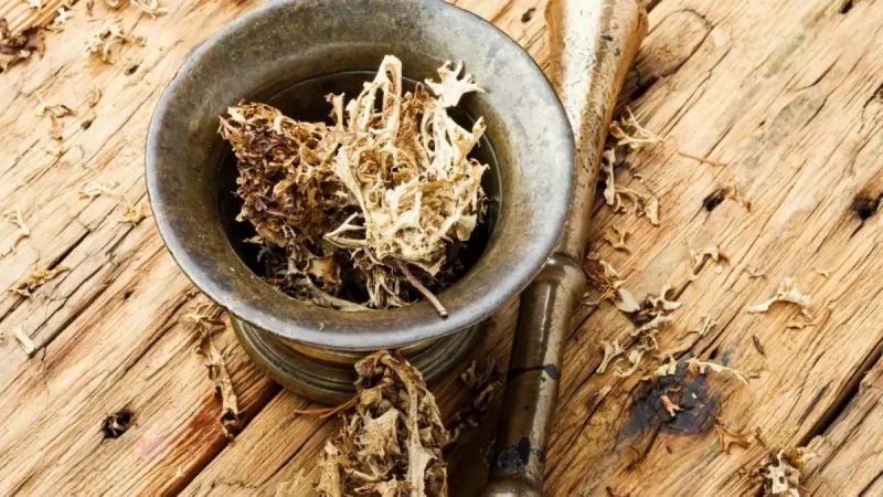 Nutrient-Rich Sea Moss Gel: Superfood for Health and Vitality