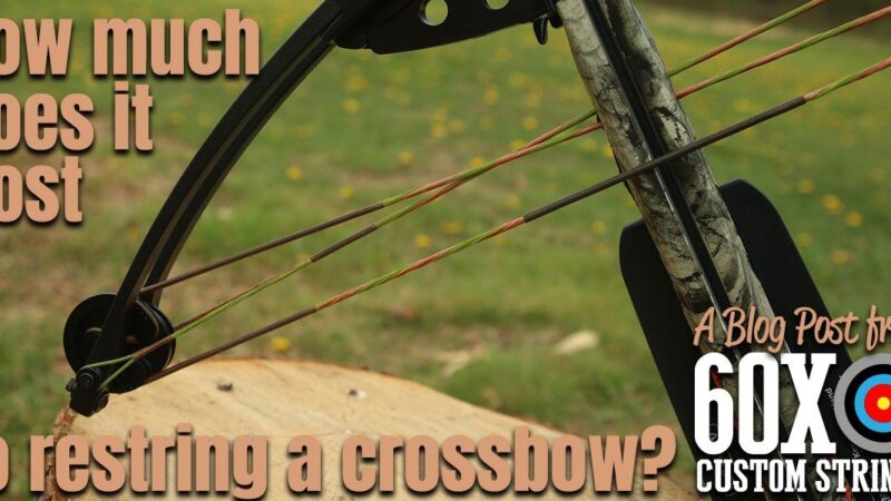 Cost Of Restringing A Compound Bow: How Much To Expect